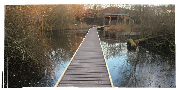 Bridge across pond to conservation hut