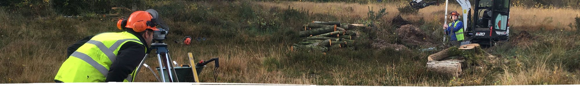 Tree clearance near Chester