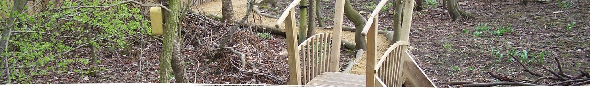 Wooden hump back bridge in forest near Shrewsbury