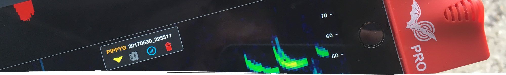 Bat survey detection equipment