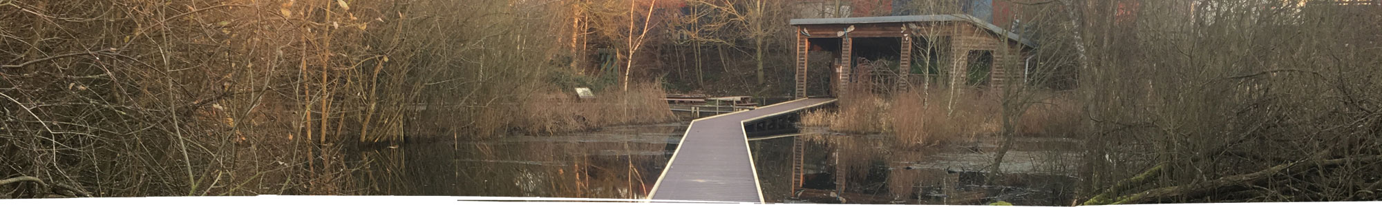 Bridge across pond to conservation hut