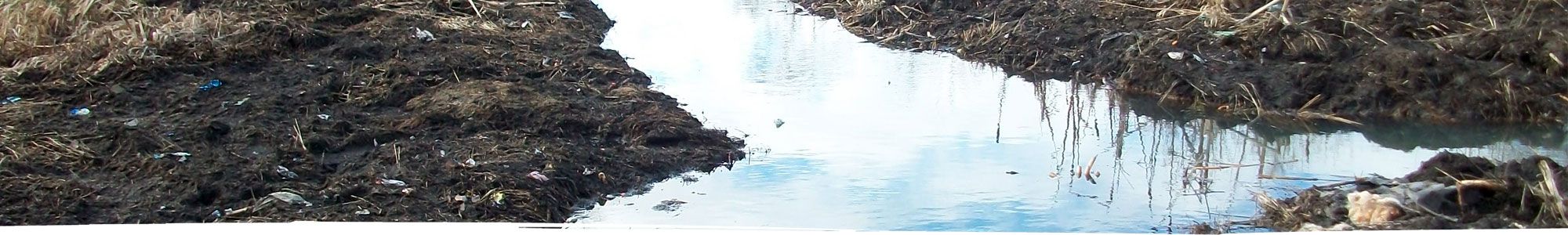 Wetland clearance in North Wales