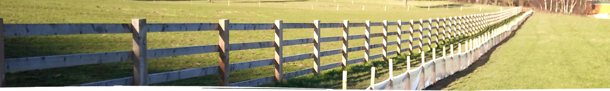 Fence for newt protection in North Wales