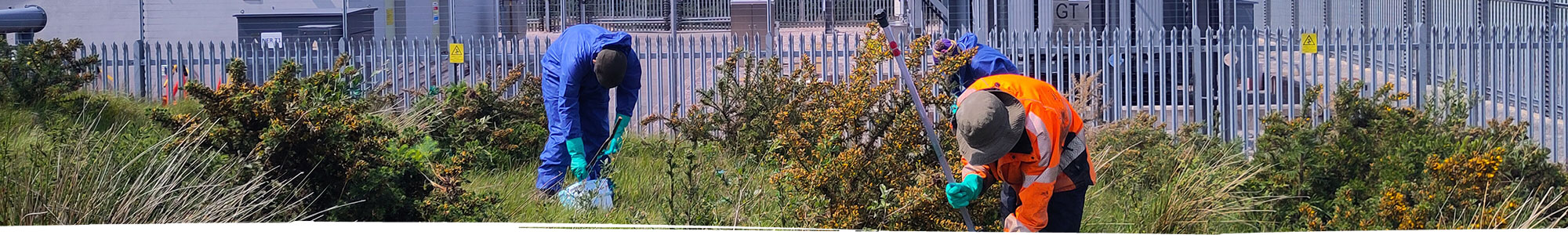 Weed wiping in Wrexham