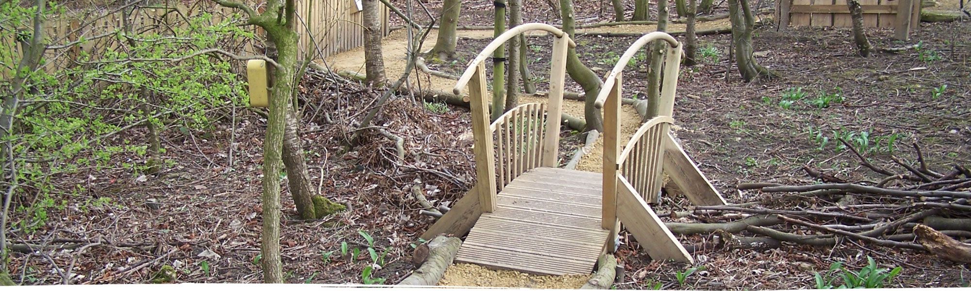 Wooden hump back bridge in forest near Shrewsbury