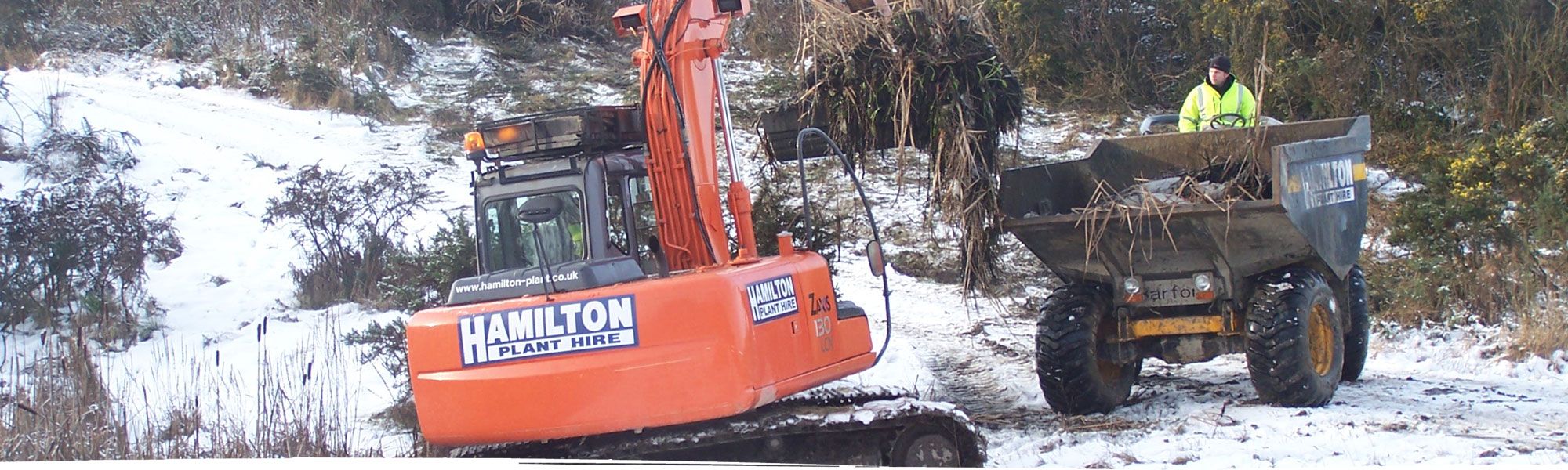 Tree clearance in North Wales