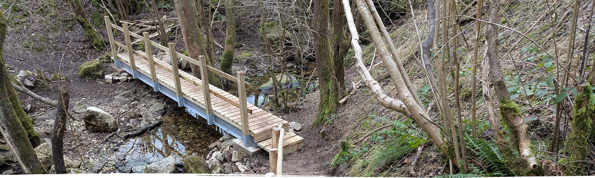 Bridge built across stream