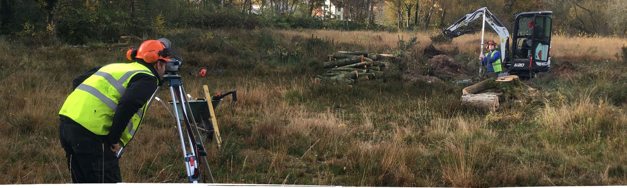 Tree clearance near Chester