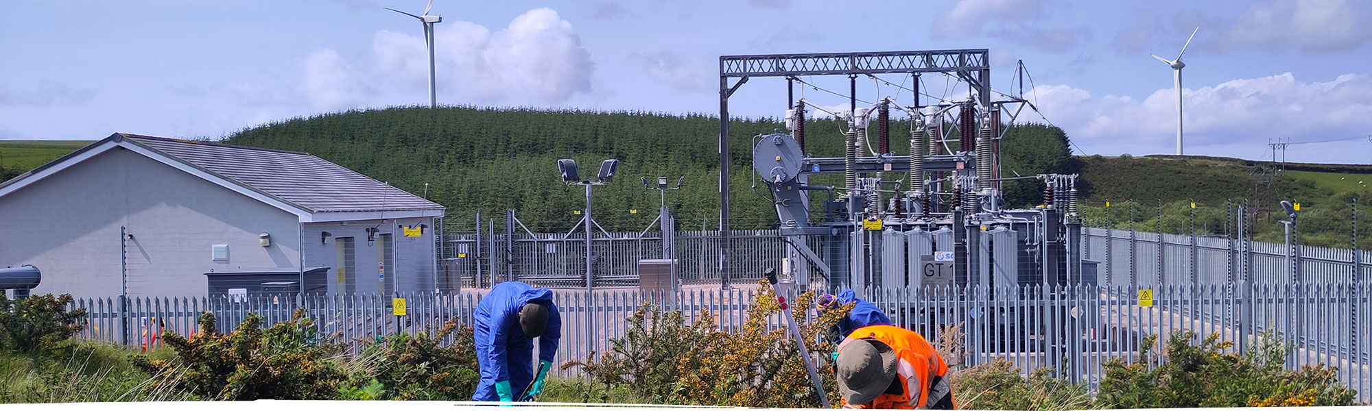 Conservation near North Wales power station