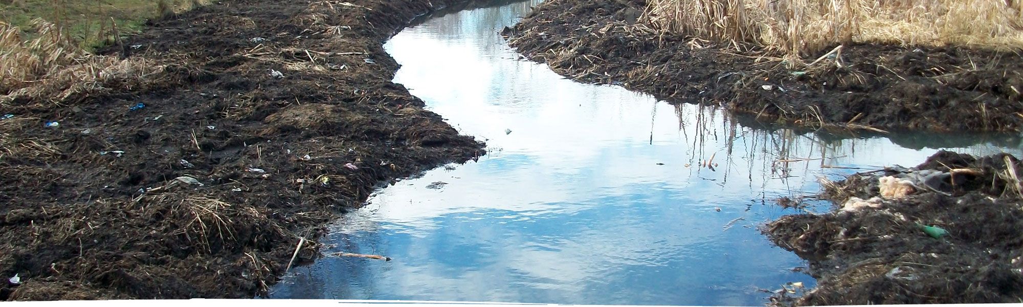 Wetland clearance in North Wales