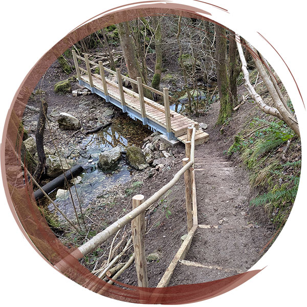 New steps and bridge installed within a North Wales Wildlife Trust nature reserve