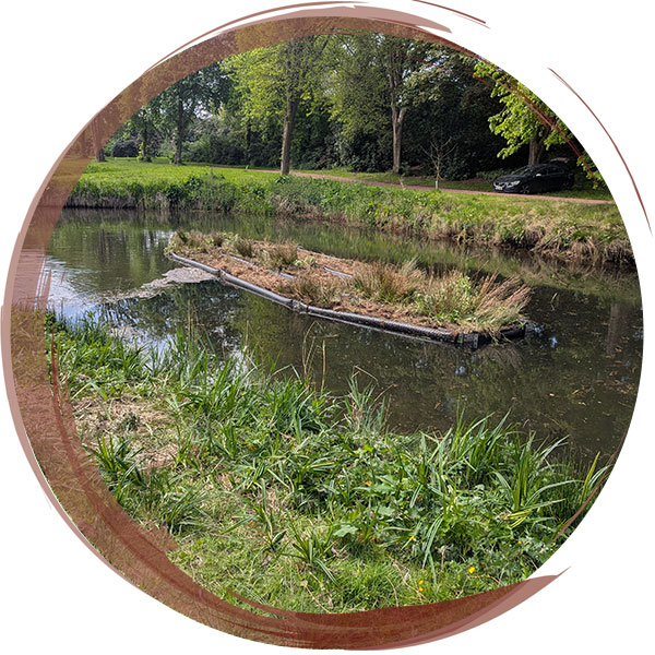 Artificial floating island built and installed within a river to increase biodiversity and slow the flow of the river