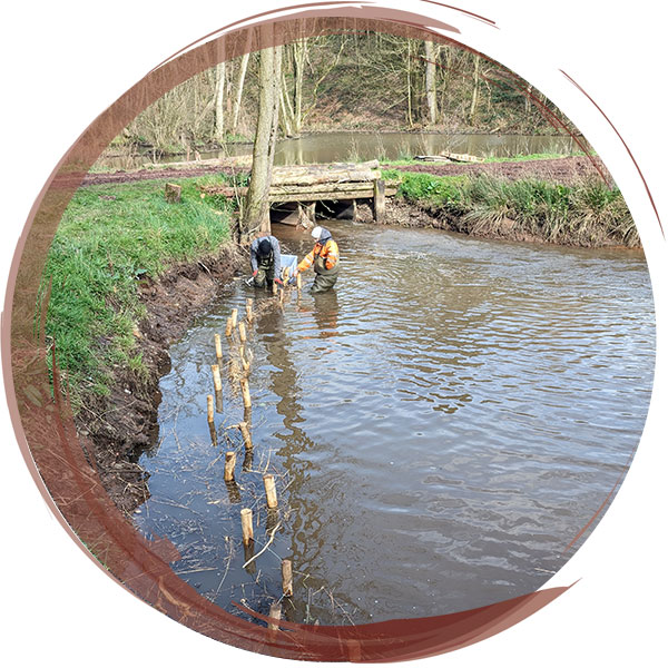 Bank stabilisation with pre-planted coir logs to encourage natural bank vegetation to grow