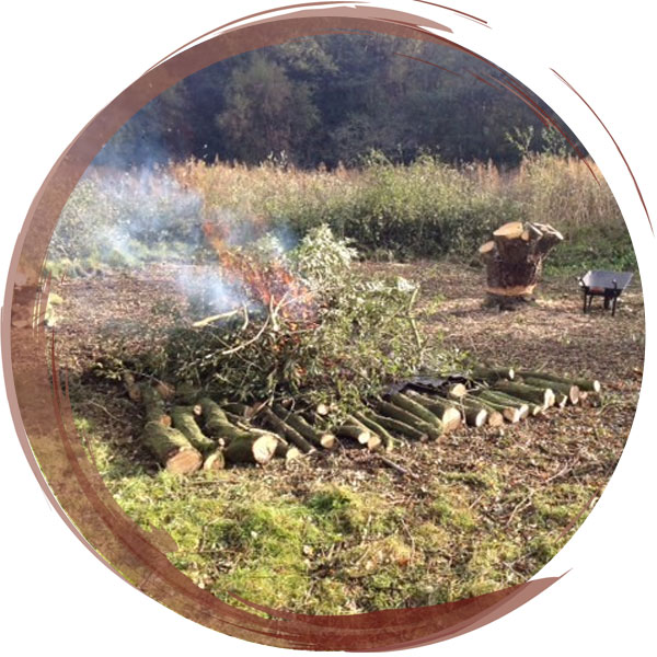 Scrub clearance on peatland. Brash burnt on raised tin sheets to minimize disturbance to the ground and reduce risk of the peat catching on fire