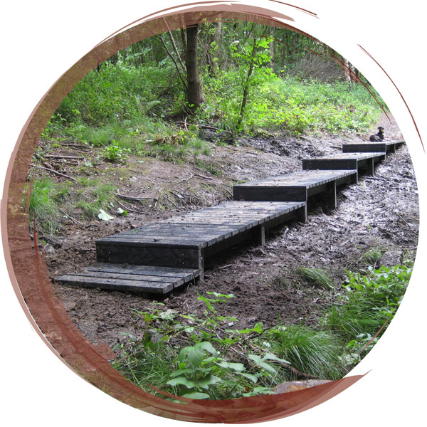 A series of platforms to cross a large area of wet ground within a Yorkshire Wildlife Trust nature reserve