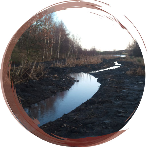 Creation of 140 meters of meandering wetland habitat for Water Voles. Small dams were used to maintain a suitable depth of water throughout