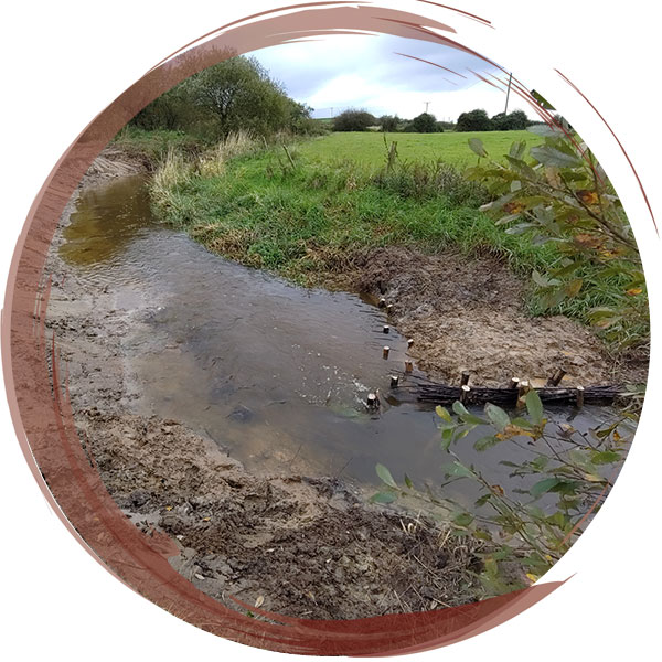 Installation of innovative ‘Dragon’s teeth’ structures within the River Braint to naturalise the river and allow more suitable habitat for breeding salmon, for North Wales Rivers Trust