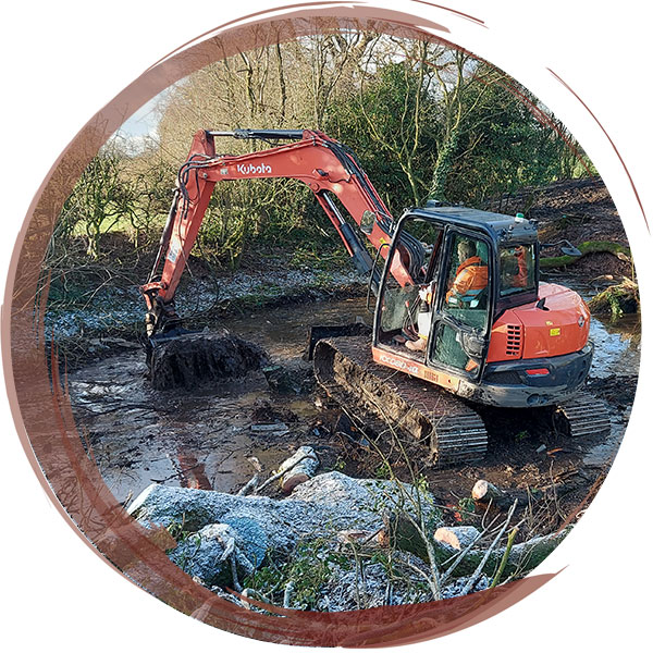 Desilting and tree removal around existing pond, to improve habitat for GCN and other aquatic wildlife, after leaf litter and fallen trees had filled the pond over time
