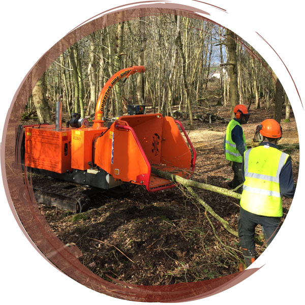 Removal of scrub on a nature reserve is aided by the use of a wood chipping machine