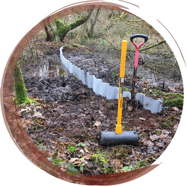 Plastic piling dam installed by hand to block a drain that was reducing water levels at Risley Moss Nature Reserve, Warrington