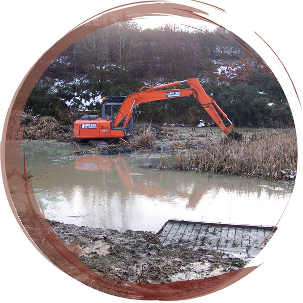 Large scale Typha removal from what was a fully covered pond