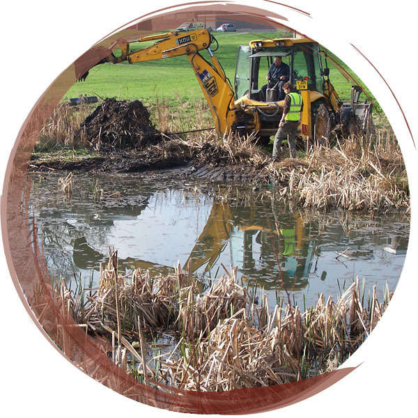 Precise clearance work to remove only the encroaching Reedmace in a pond