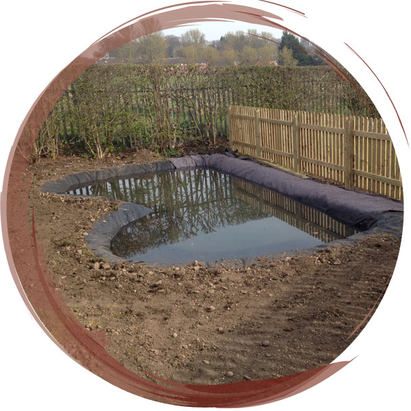 New pond created within the playing field at St Annes Primary Sch. Wrexham, with dipping platform, securely enclosed within new fencing