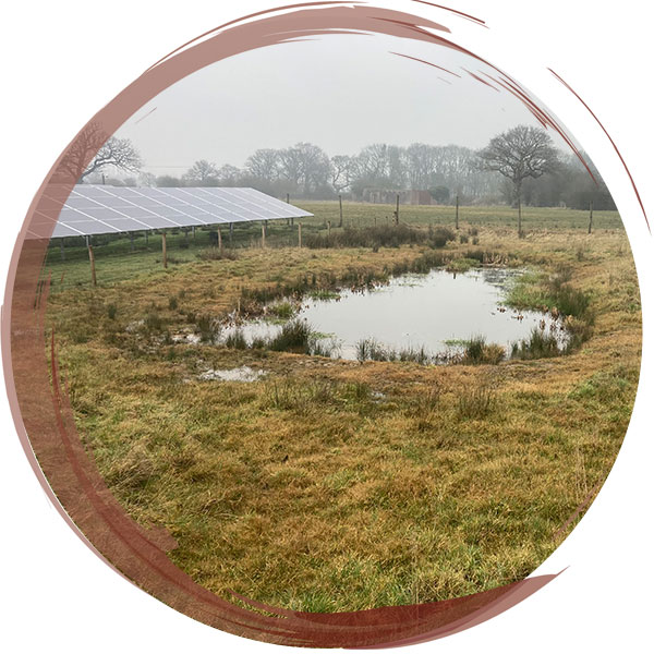 Pond created and lined with a Bentonite Geosynthetic Clay Liner as part of the mitigation requirements for Wrexham Solar Farm. For more details on this project visit our 'Renewables' page