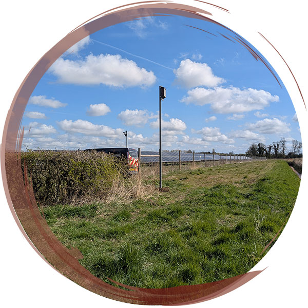 Installation of a bespoke, hand-built, maternity bat box as mitigation requirements for a solar farm in Lincolnshire