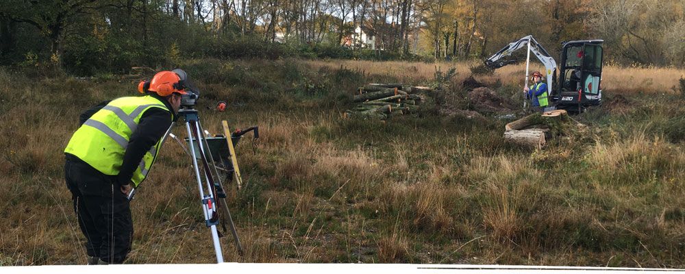 Tree clearance near Chester