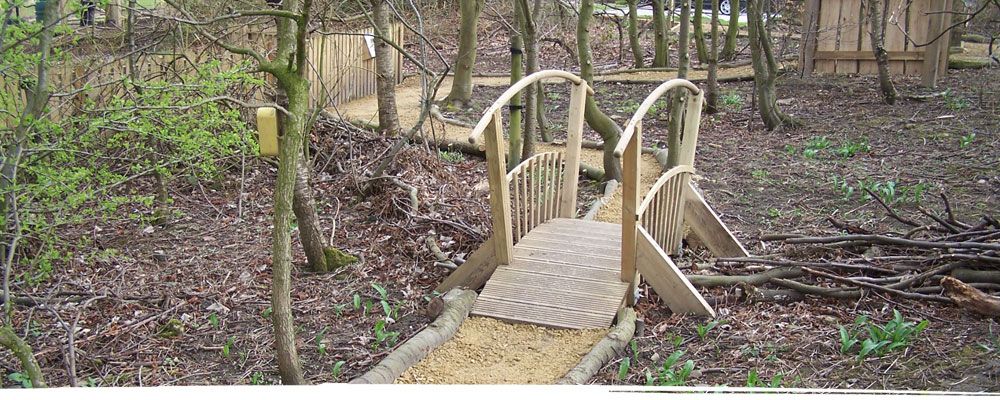 Wooden hump back bridge in forest near Shrewsbury