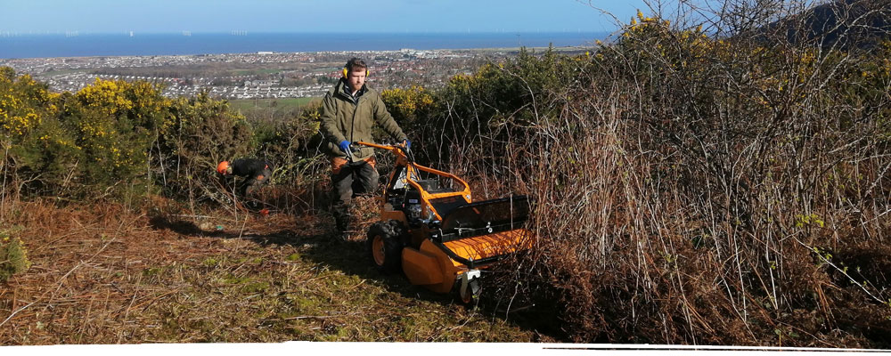 Wildbanks Conservation staff working in Wrexham