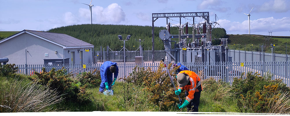 Weed wiping in Wrexham
