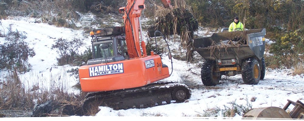 Tree clearance in North Wales