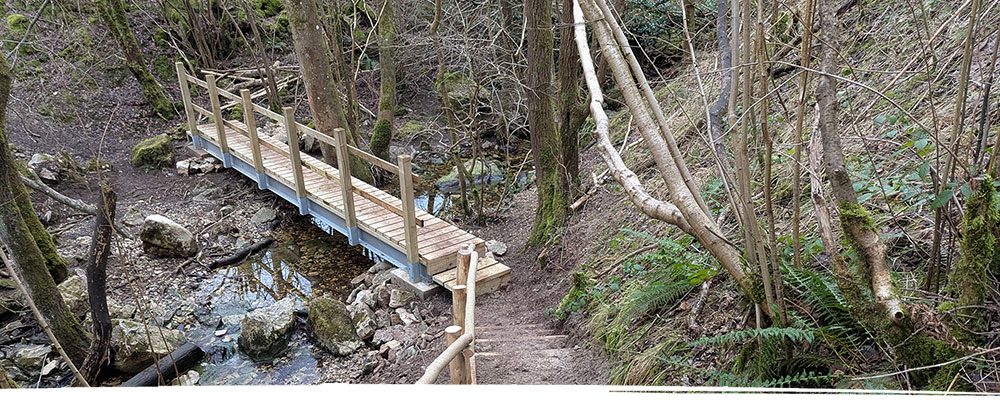 Bridge built across stream