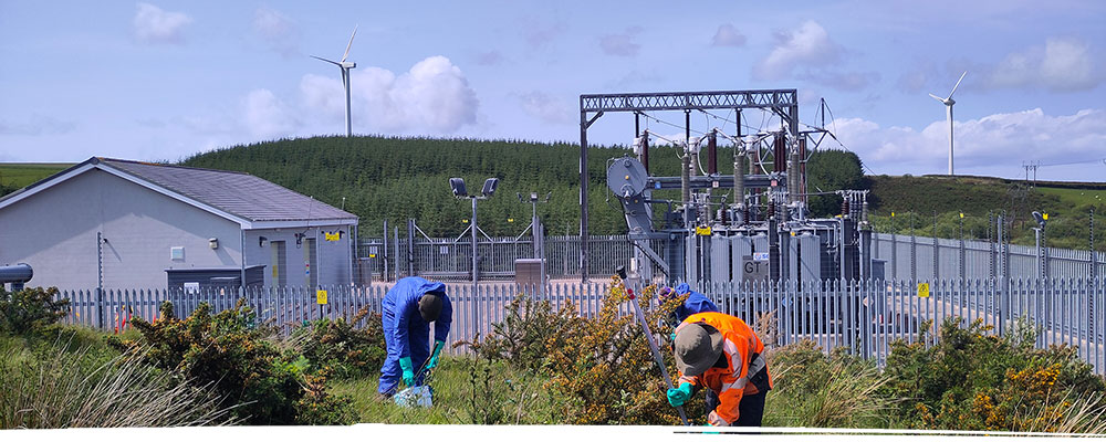 Conservation near North Wales power station