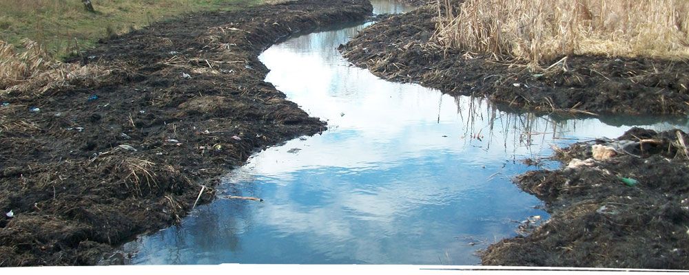 Wetland clearance in North Wales