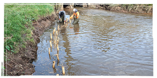 River Restoration & Flood Management
